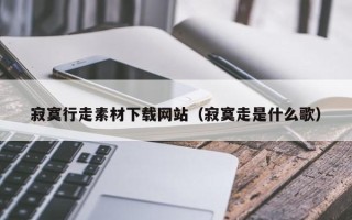 柳林寂寞行走素材下载网站（寂寞走是什么歌）