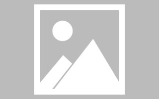 柳林巨量图标素材网站（巨量创意logo）